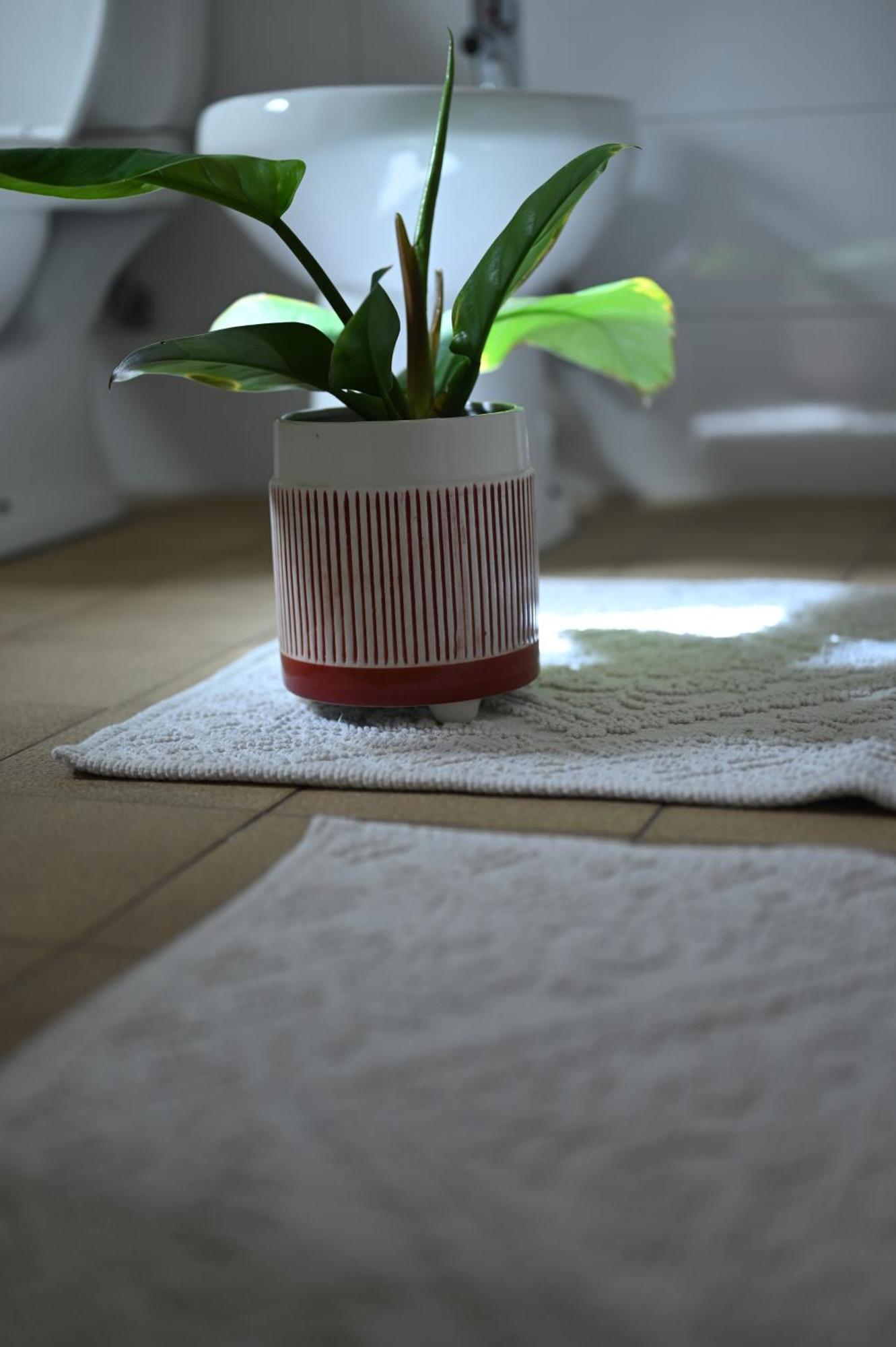 Niche Boutique Hotel Tirana Kültér fotó
